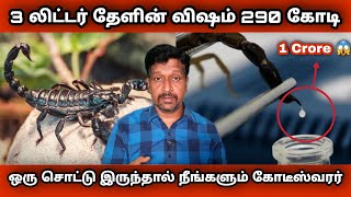 Why Scorpian venom is So Expensive in Tamil I World most Expensive Venom I Ravikumar I SR I Tamil