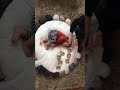 【我が家の息子】息子用サニーマット作りました