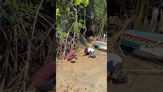 Ikannya jago banget lompat #ikan #hewan #kelomang #bolang