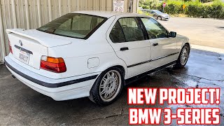 New CHEAP project car! Back in a BMW E36 3-series! by Jim Bob 427 views 10 months ago 10 minutes, 38 seconds