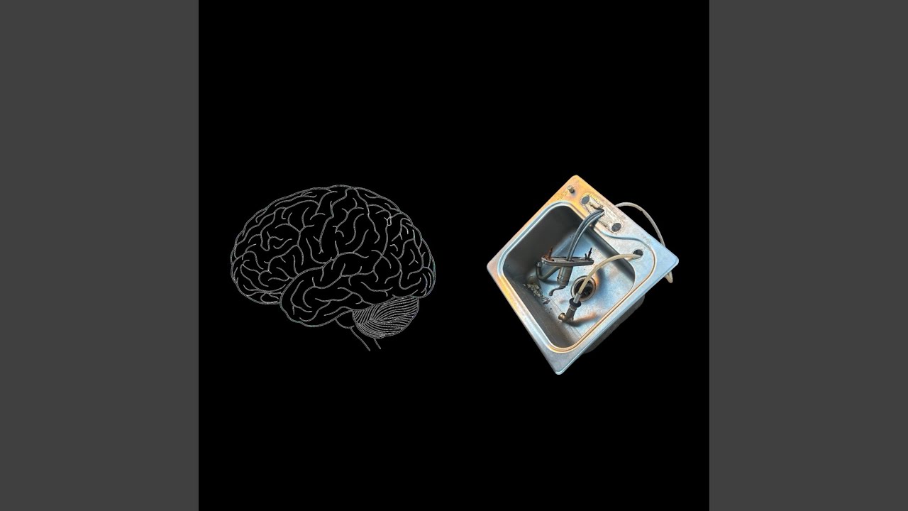 Watch Operant Conditioning on YouTube Watch Operant Conditioning on YouTube