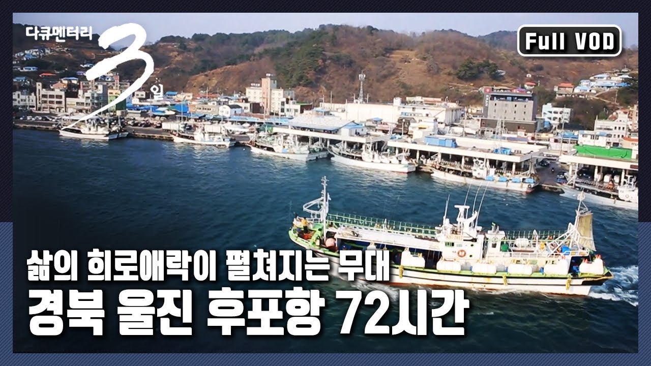 [다큐3일📸] 경북 울진군 최남단에 위치한 국내 최대🦀대게 잡이 항구! | 더할 나위 없어라 - 경북 울진 후포항 | KBS 2015.01.04 방송