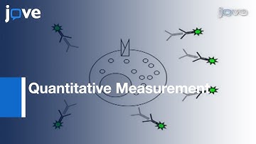 Quantitative Measurement: GLUT4 Translocation To Plasma Membrane-Flow Cytometry l Protocol Preview