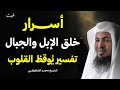 تفسير ي وقظ القلوب أسرار خلق الإبل والجبال كما كشفها القرآن الشيخ محمد الشنقيطي 