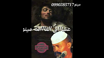 هيثم زمروي 