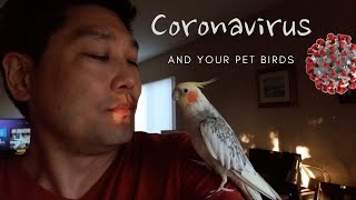 Coronavirus and Your Pet Birds | Preparation and Info