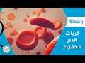 اكتشاف جديد كريات الدم الحمراء لها دور في المناعة 