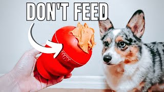 Top 4 HARMFUL Foods Owners Keep Feeding Their Dogs