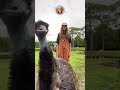 Hey It S Emmanuel Part 5 RxCKSTxR Comedy Voiceovers Hey It S Emmanuel Part 5 RxCKSTxR Comedy Voiceovers