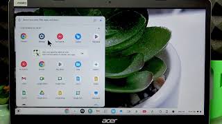 ACER Chromebook 315 Treiber aktualisieren – Firmware-Update in Chrome OS