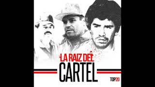 LA RAIZ DEL CARTEL