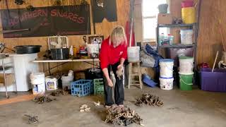 Pulitore E Condizionatore Per Trappole In Acciaio - Battle Born Trap Cleaner (Southern Snares)