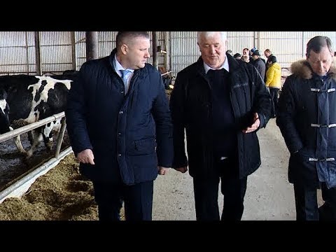 сельское хозяйство животноводство От производства сырья до экспорта товаров - планы развития Минсельхоза Кубани