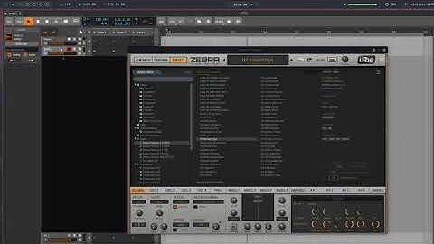 stochas and zebra #bitwig #vcv #reels #shorts #linux #dsp