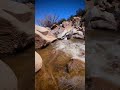 Waterside Chillin #asmr #waterfall #stream #creek #mountainstream #asmrsounds #asmrsound