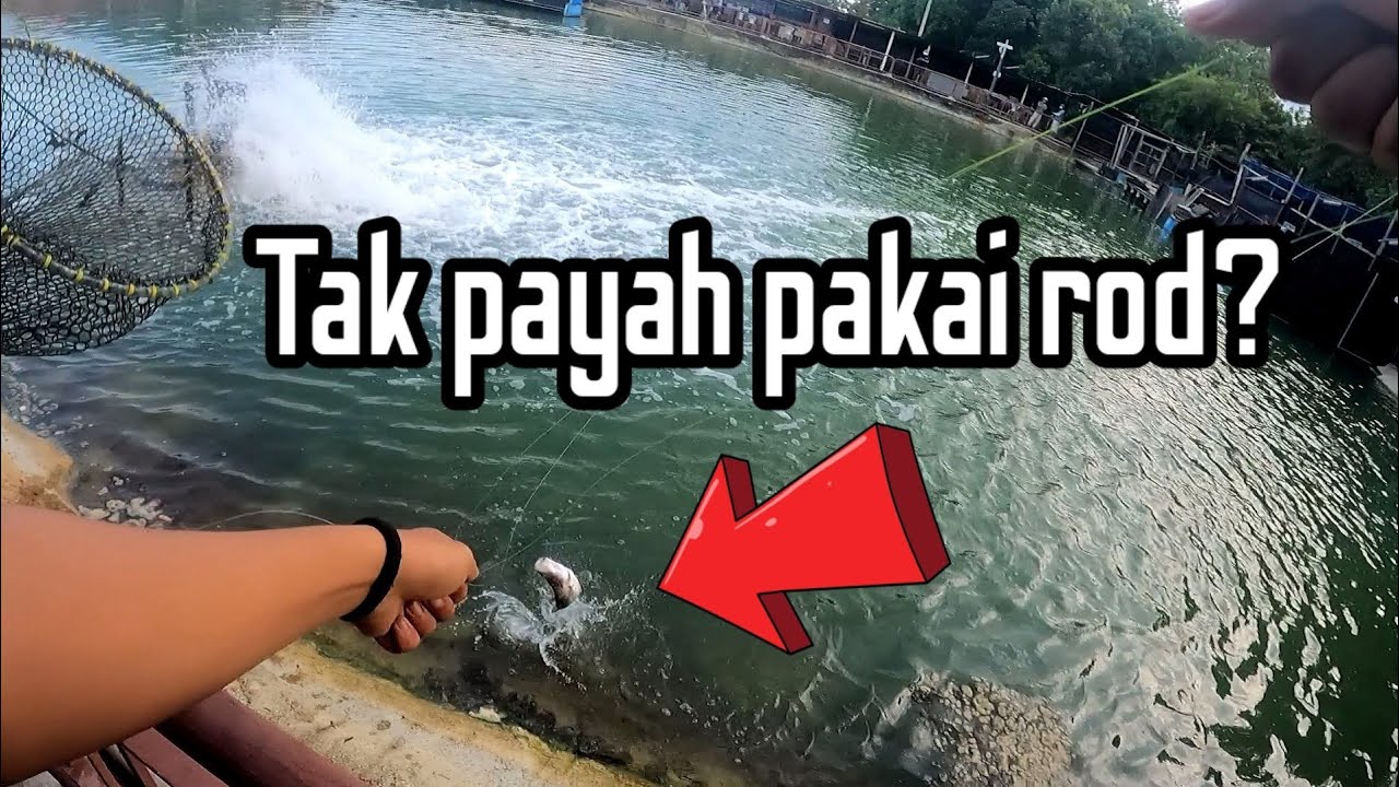 Auntie Fishing Pond Last Singapore Trip YouTube