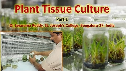 Plant Tissue Culture Part 1 Dr  Jayarama Reddy