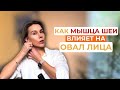 Как избавиться от напряжения в шее и улучшить овал лица. Грудино-ключично-сосцевидная мышца