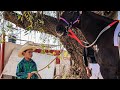 Niño Carrerero | La Salada Vs El Cholo | Poblado 5 De Febrero, Durango Mex.