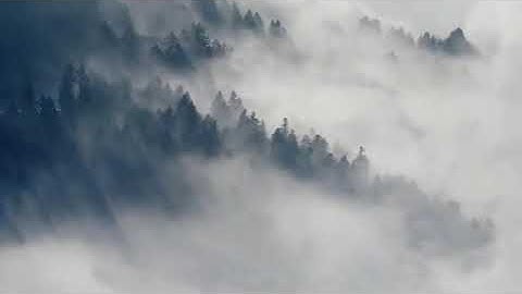 ارح قلبك وسمعك.. تلاوة عطرة للشيخ علي راشد الوصابي حفظه الله