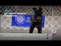 AKC National Obedience Championship! AKC.TV Ring 1 and Ring 8