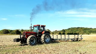 Case IH 1455 XL labour 2020 sur la 8 corps !!!