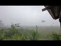 Chovendo praticamente todos os dias #vidanaroça #naturezasurpreendente #chuva