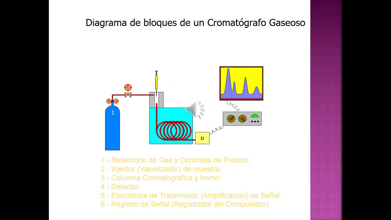 Explicación TP Cromatografía Gaseosa