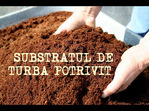 Video: Utilizarea Turbării Pentru Răsaduri