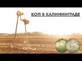 КОП В КАЛИНИНГРАДЕ | 3 минуты от города и ты на "хлебных" полях!