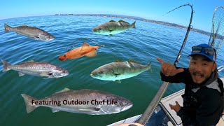 Casting A Live SQUID Into A Huge School Of WHITE SEABASS