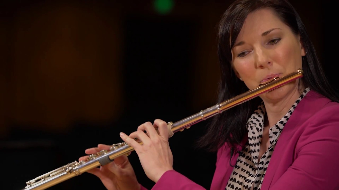 What Does A Flute Sound Like Ode To Joy Youtube