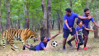 🐅टाइगर attacks man in the jungle | tiger attack in jungle royal bengal tiger attack