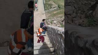 Cortadera 2018 salta