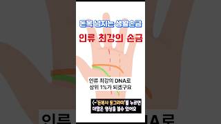 인류 최강의 손금 내 손금은?