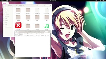 Touhou game in Golang - FPS unlocked