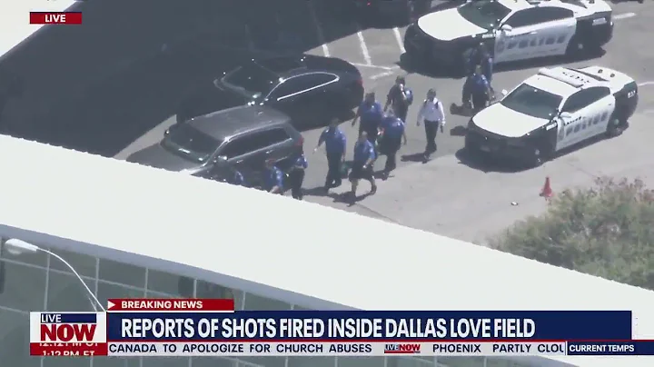 Dallas Love Field Airport shooting: Woman firing g...