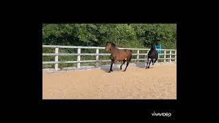 Advert reference - 318108