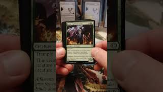 Shock Land! MTG Lorwyn Eclipsed Booster Pack Rip #mtg #tcg #packopening #cards #lorwyn #magic