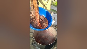 Người dân tộc nhuộm vải