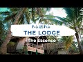 The Essence of Pole Pole Bungalows | Mafia Island- Tanzania