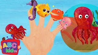 Finger Family (Sea Animals Version) | CoComelon Nursery Rhymes & Kids Songs