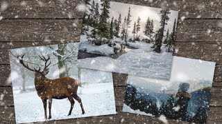 Using Snow Overlays screenshot 2