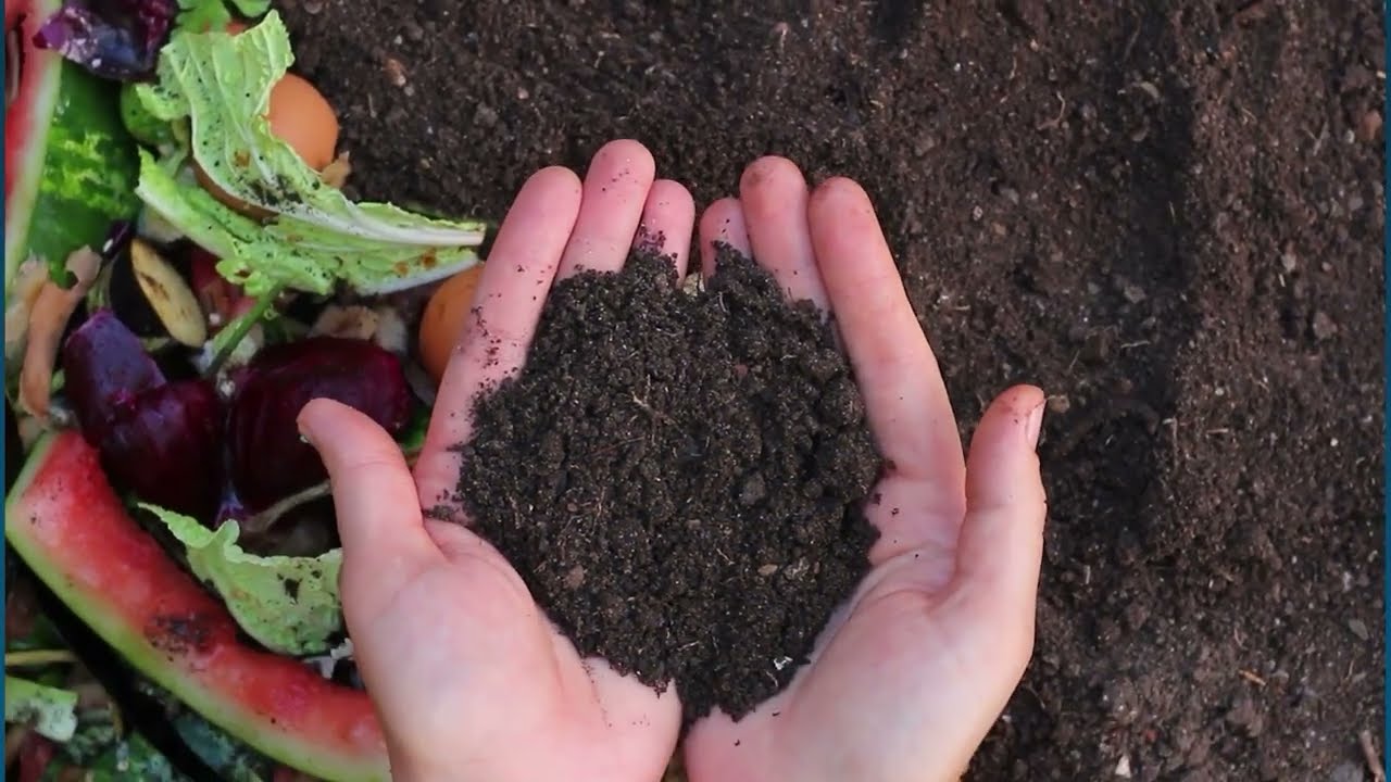 Lake Forest & CR&R Guide to Green: Organics