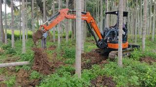 TATA HITACHI ZAXIS 33U | work in arecanut plantation |