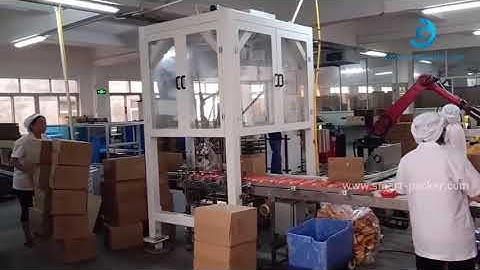 Automatic food bag tissue bag robot hands inserting carton palletizing machine cartoning palletizer