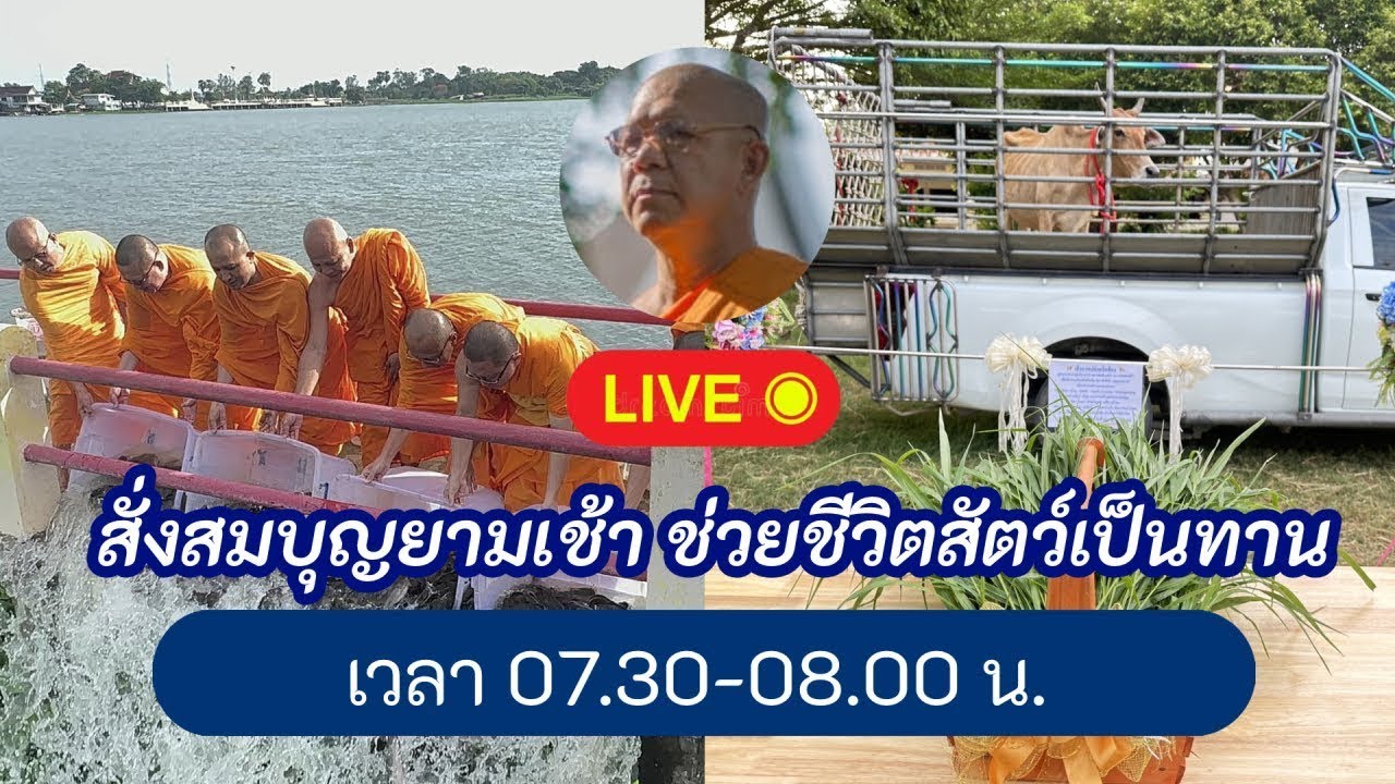 3 / 9 / 2568 เช้านี้ วันดี ที่ 3 กันยายน 2568 สั่งสมบุญยามเช้า ช่วย ...