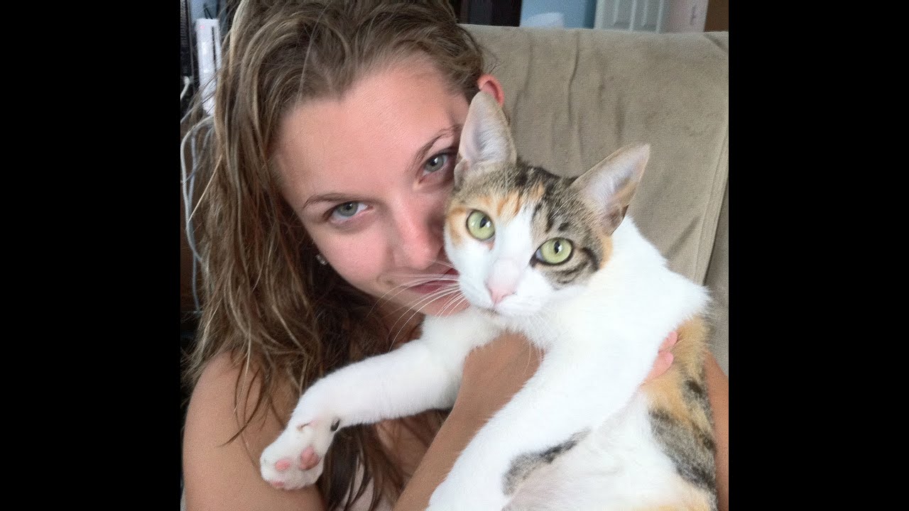 How To Wash A Cat YouTube