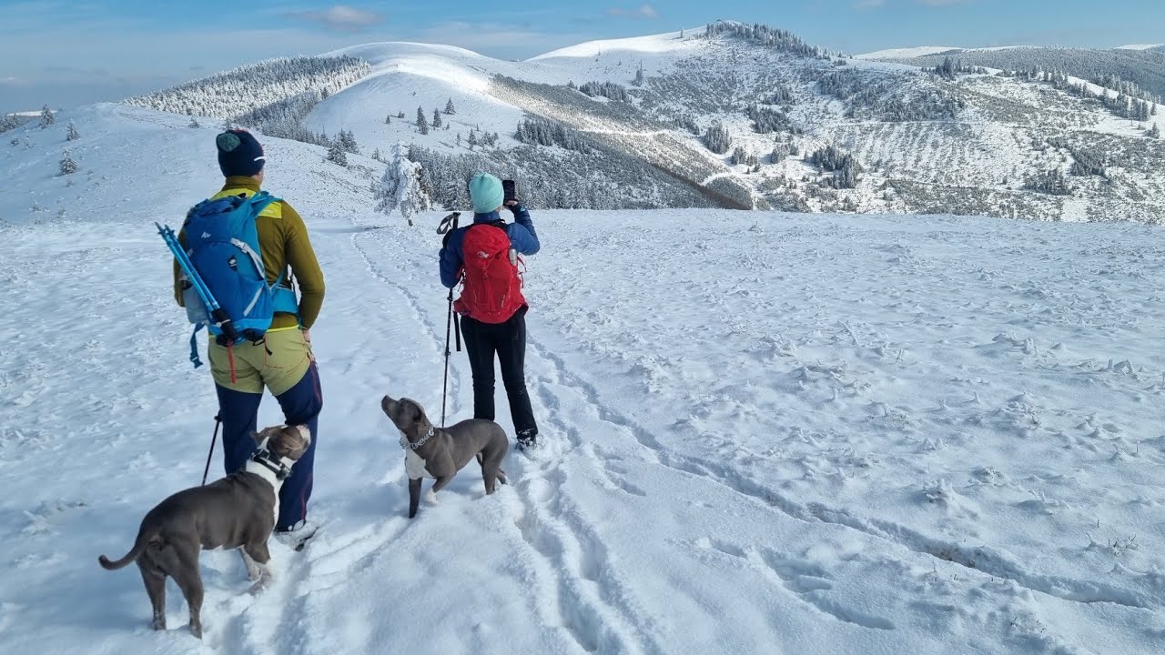 Vf.Godeanu.Munții Șureanu(20.02.2025)