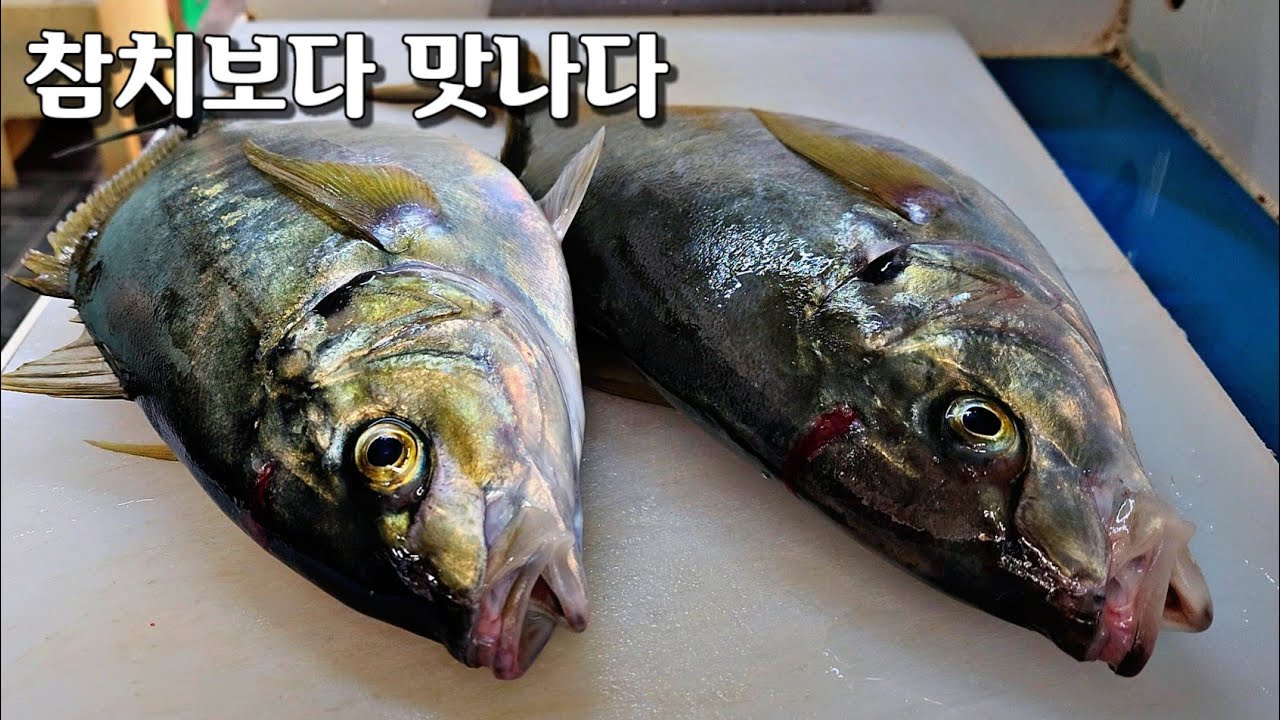 안드셔 보시면 몰라요 두번 세번 찾게 됩니다 , horse mackerel , しまあじ YouTube